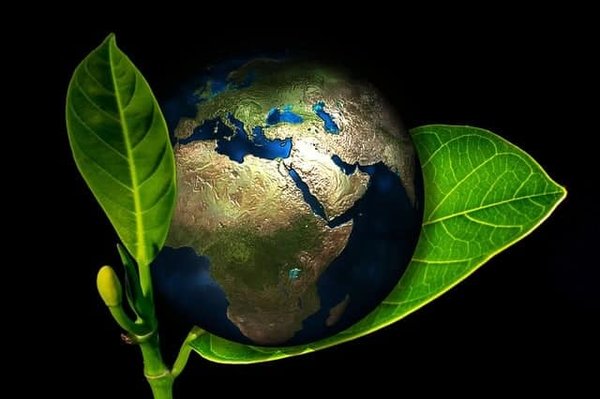 L'Économie Circulaire : Une Transition Incontournable pour un Avenir Durable