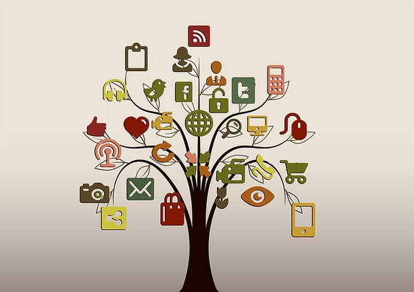 Comment l'éducation à l'environnement peut être mise en avant par les médias ?