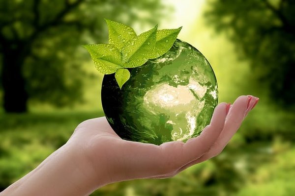 Découverte des aires protégées : un pilier essentiel pour la conservation de la nature