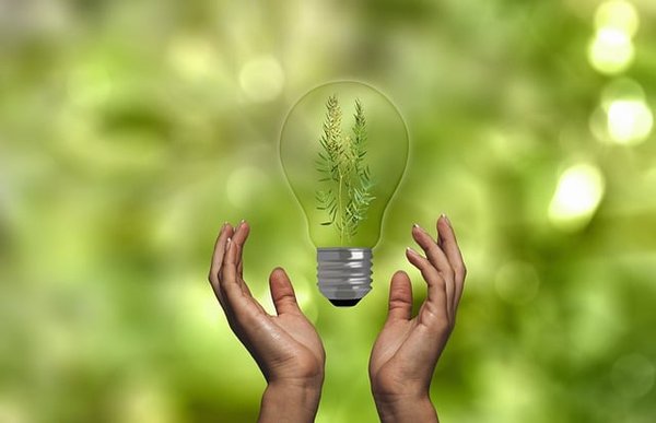 Zoom sur le contrat de ruralité de relance et de transition écologique : un levier pour les territoires ruraux